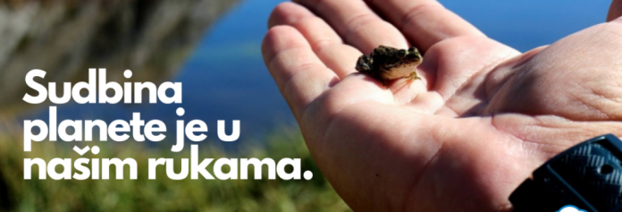 Danas je Svjetski dan zivotinja 696x237 1