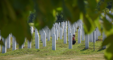 E5DD0198 6A0D 4F52 849E 3998C1C5560E