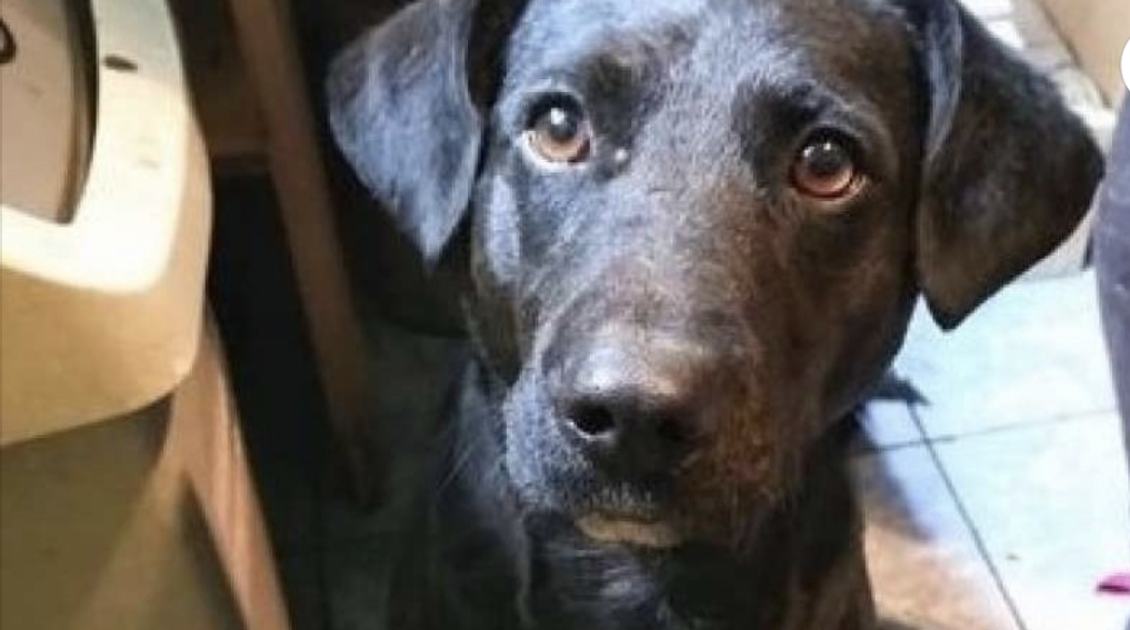 E8C0A80F CFB3 40DA 9506 37F805352DA9