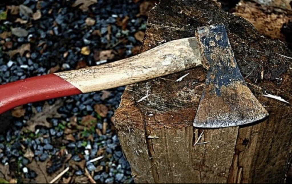 F04FB093 DAE7 4484 9AC3 7320D658CED9