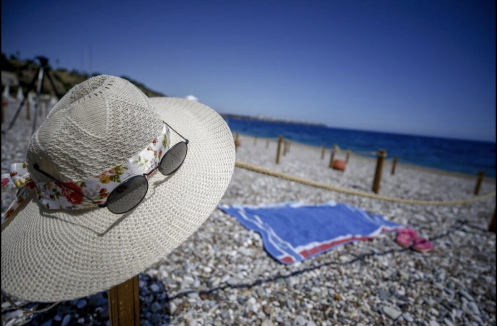 F3623E28 B7A7 4C8C 86AD 34533B1BA2D4