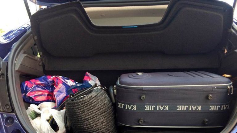 Šta sve bh. građani prenose preko granice?