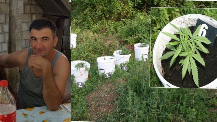 InShot 20200905 194822894 01 696x391 1