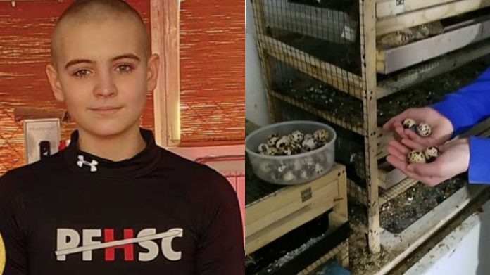 InShot 20210107 185238657 01 696x391 1