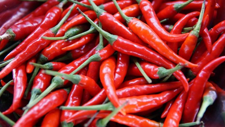 Zaustavlja curenje nosa, olakšava bol… Dobrobiti ljute papričice