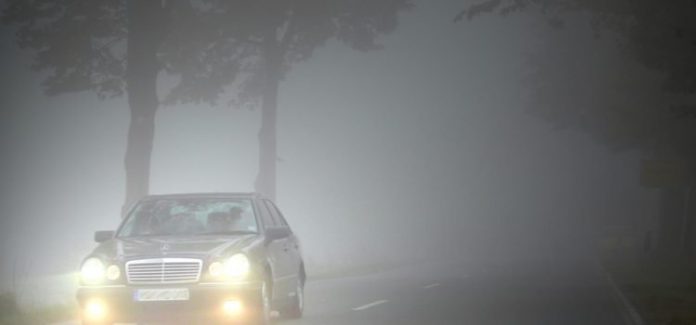 Maglenke 1 750x350 1 696x325 1