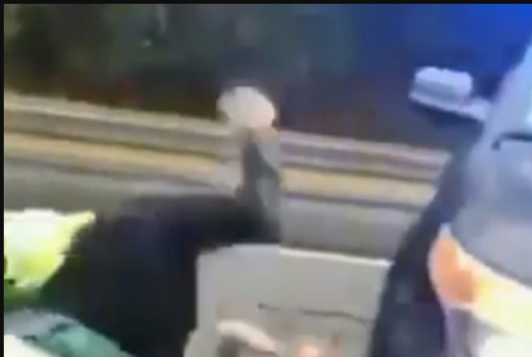 Oteo palicu od policije, pretukao ih pa im ukrao službeni auto (VIDEO)