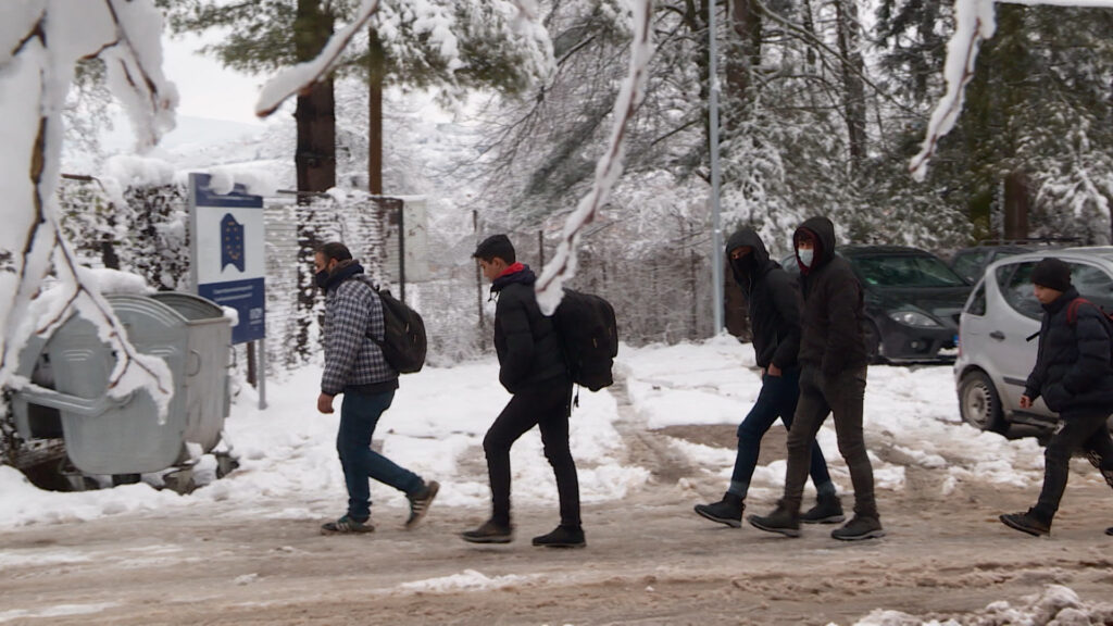 SA KAMP BLAZUJ PKG ALT 120201227 163601644 mxf 00 00 12 24 Still001