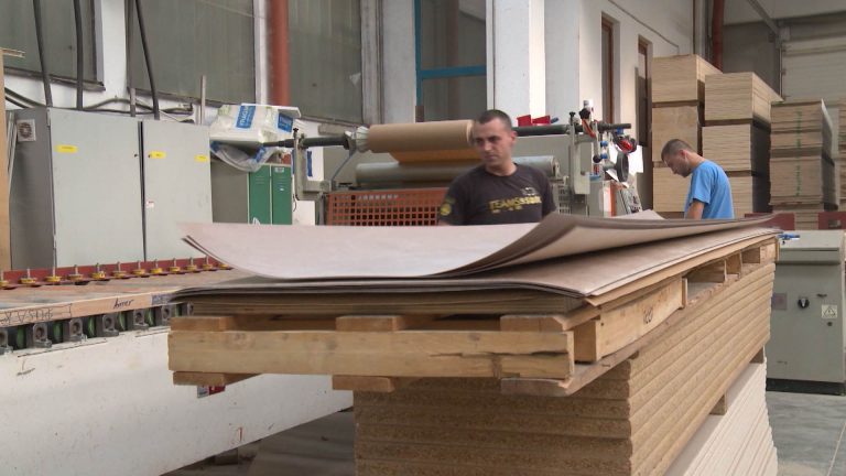 Korona vs. bh. privreda: Šta ako potraje?