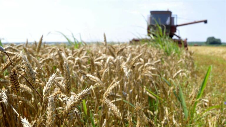 U BiH neobrađene značajne površine obradivog zemljišta