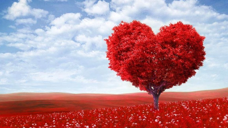 Zaljubljeni, danas je vaš dan: Sretno Valentinovo!