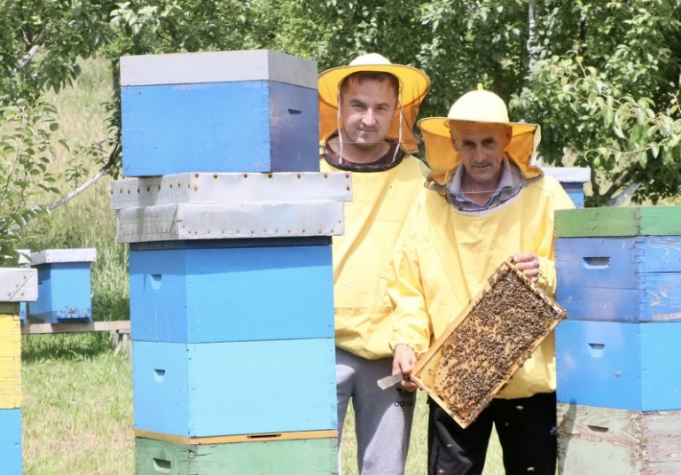 Pčelari otkrivaju ključ uspjeha: Pažljivom seobom košnica do kvalitetnog meda