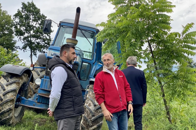 Pozitivna priča iz BiH: Mujo Begić ima sadnice najpoznatijeg italijanskog lješnjaka