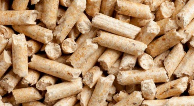 Trgovci su iskoristili veliki interes da podignu cijenu ovog biogoriva