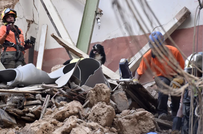 Mjesec dana nakon eksplozije ispod ruševine u Bejrutu otkriveni potencijalni znaci života