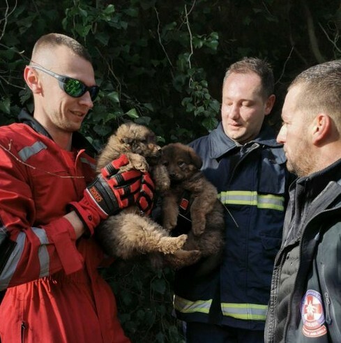 Screenshot 1 2387 15