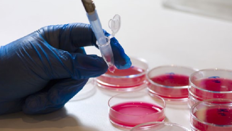 Veliko otkriće: Pronađena vakcina protiv raka