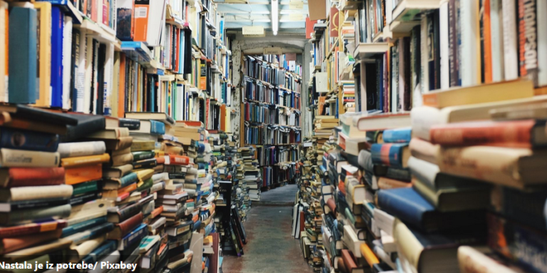 Kako su u Americi osnovane bosanske biblioteke