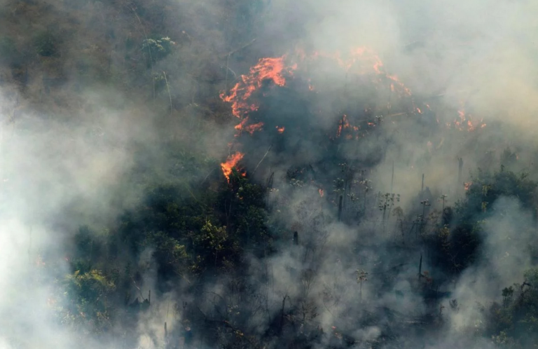 Požari bijesne u najvećoj svjetskoj prašumi: Macron uputio apel svjetskim silama da pomognu u gašenju