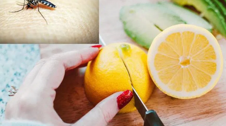 Isprobajte odličan trik koji će na prirodan način otjerati komarce