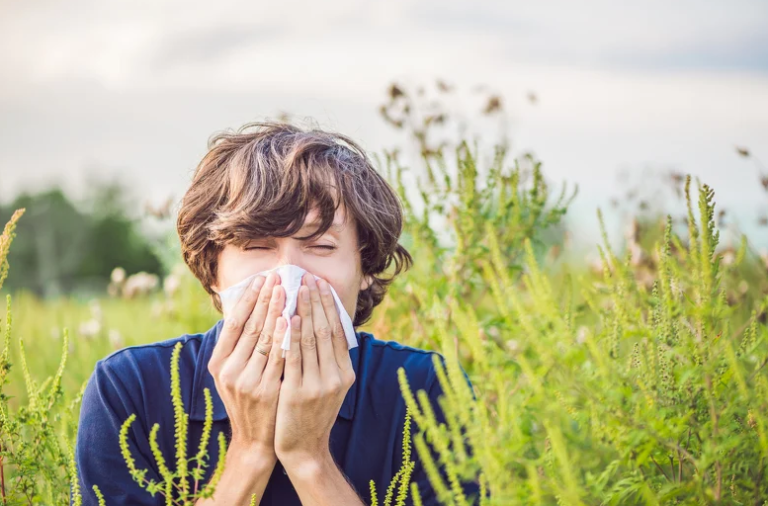 Zenički INZ započeo projekt mjerenja polena u zraku i izradu kalendara alergija