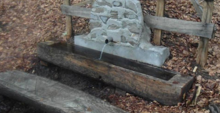 Starost ženske tise na Pepelarima kod Zenice približno 3.000 godina: Titov izvor na Rogatki ima čudotvornu moć?