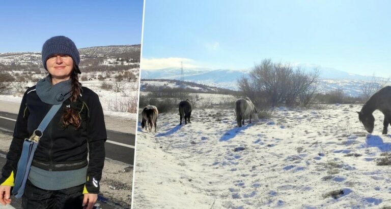 Velika ljubav prema životinjama: Iz Njemačke se preselila u Livno radi divljih konja i nije požalila