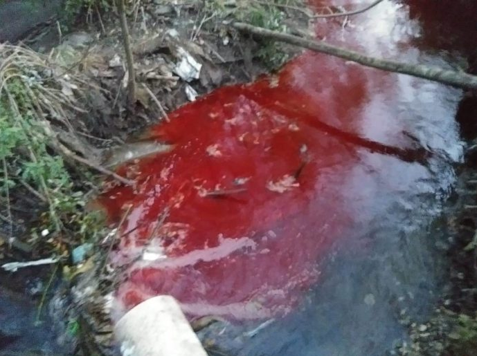 VIDEO: Lašvanskoj dolini prijeti ekološka katastrofa o kojoj svi šute