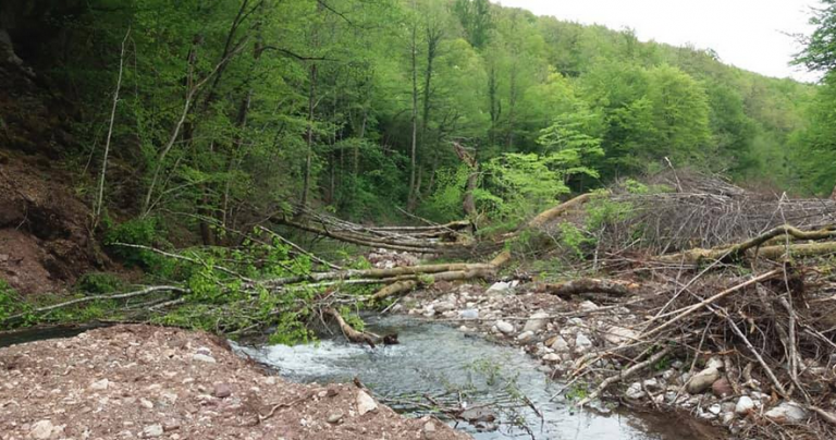 Ostalo je još vodu i vazduh da nam privatizuju