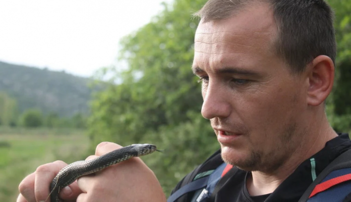 Stručnjak odgovorio koje su to najotrovnije zmije u našoj zemlji
