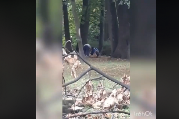 Screenshot 2020 08 27 2 Av Mau Sarajevo 696x465 1