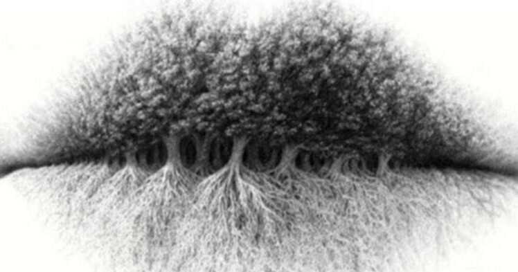 Test ličnosti: Ono što prvo primjetite otkriva puno o vama