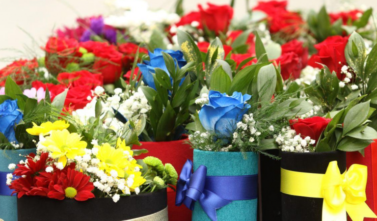 Nabavke teške pola miliona KM: Kupuju zavjese, cvijeće, televizore…