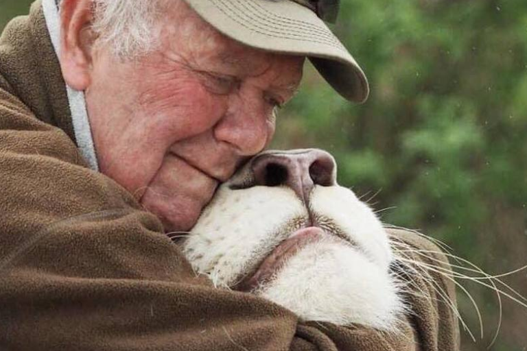 Borca za zaštitu životinja u Južnoj Africi usmrtili bijeli lavovi
