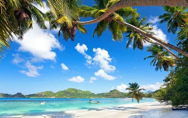 Screenshot 4 1225 36