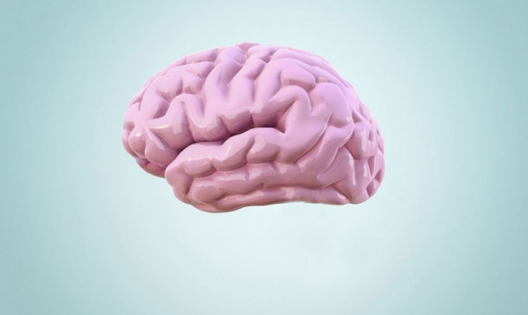 Niste ni svjesni koliko je vaš mozak snažan: Ove činjenice to dokazuju