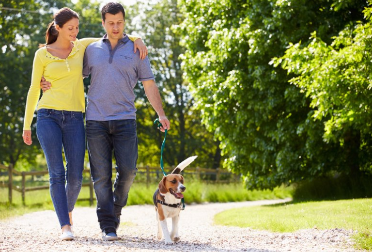 Vlasnici pasa u Njemačkoj će morati šetati s ljubimcima dva puta dnevno