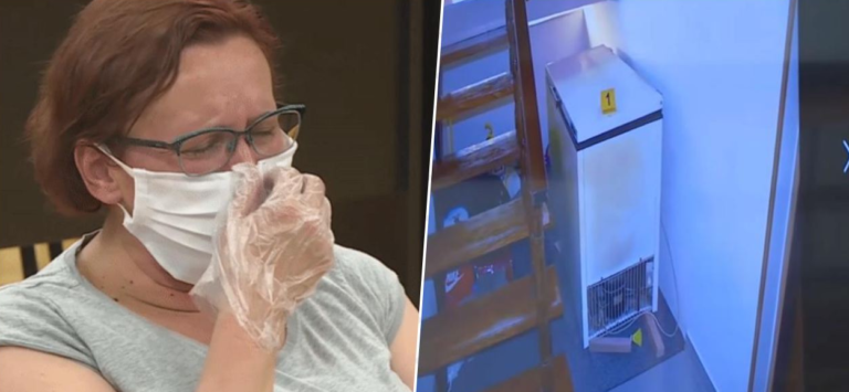 Smiljani Srnec 15 godina zatvora za ubistvo sestre: Žrtvu je od 2000. godine držala u zamrzivaču…