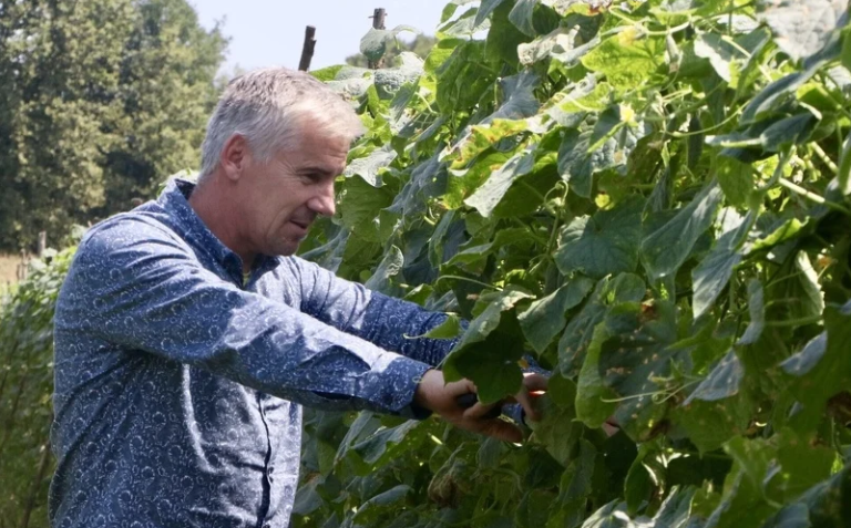 Bh. kornišon teže dolazi do Evropske unije zbog restrikcije iz Hrvatske