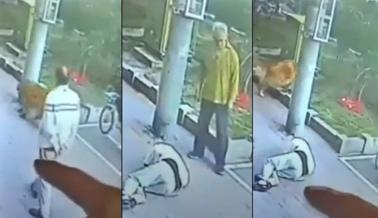 Mačka mu pala na glavu: Niko nije prišao da pomogne, završio u bolnici 23 dana