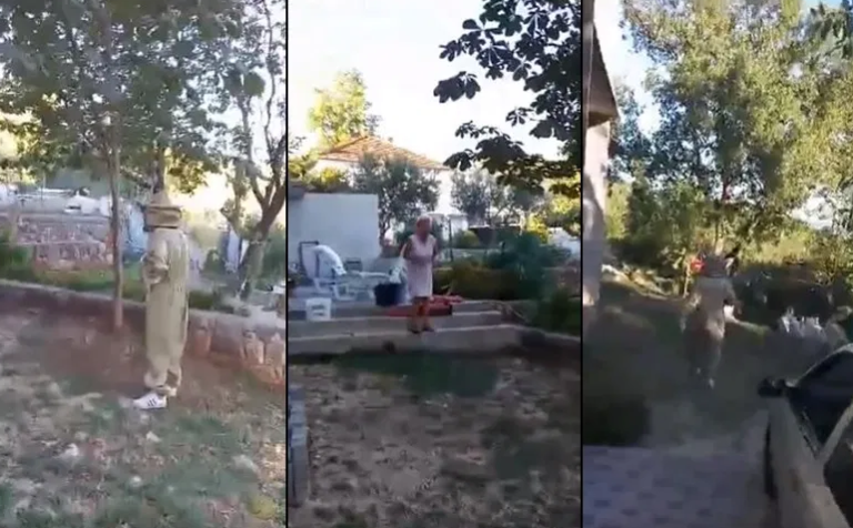 Zet kod punice u Imotski došao u “full opremi”  (VIDEO)