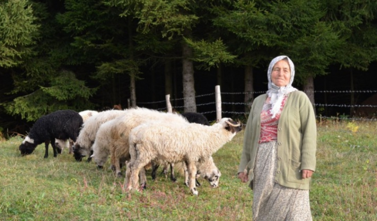 Povratnička porodica Jusufović: Živimo od svog rada, prodamo sve što proizvedemo