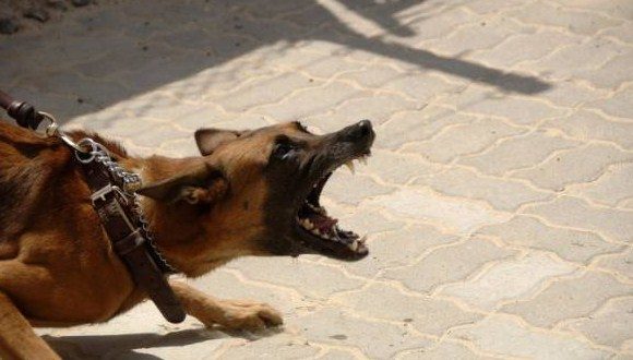 Screenshot 8 4 580x330 1