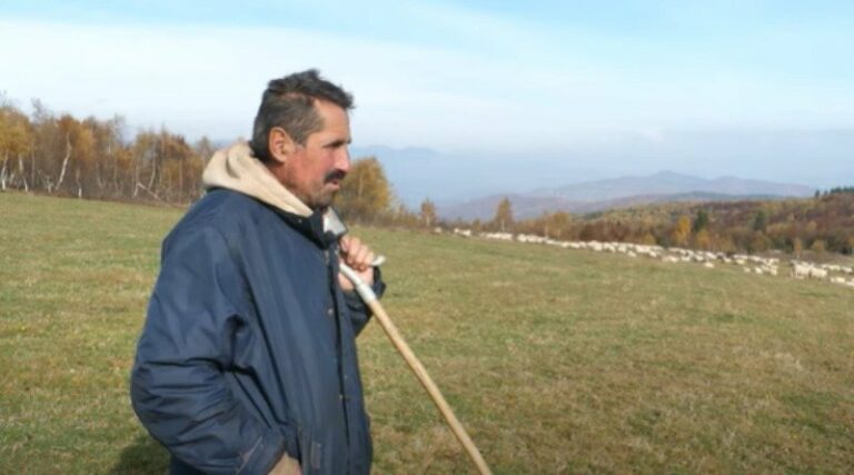 Senad Ramulj zaradio na ovcama da ne može potrošit (VIDEO)