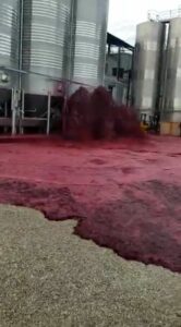 Spanija vinarija septembar2020 PS