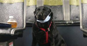 a2c529f8f7f63b7779266cb3b9d0a8cc