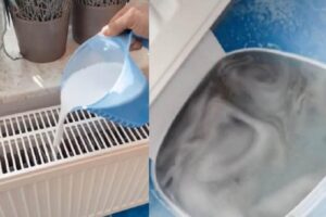 a8cfc906dcf3abaa878a6e90d4a3a756