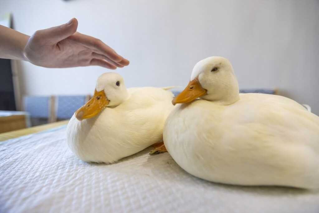 aabb7a681a5149907a3ac74e92ae83bc