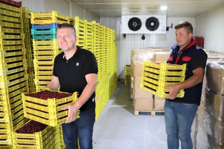 U dobroj godini proizvedu i otkupe 200 tona malina, borovnice i gljiva