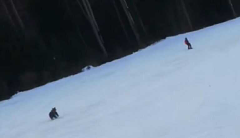 Medvjed na stazi jurio skijaša